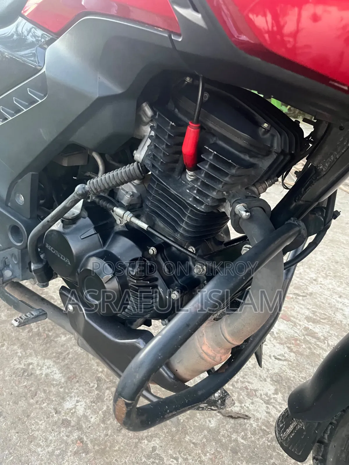 Honda Shine SP 2024 Red