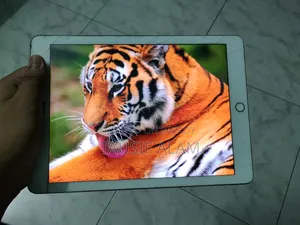 অ্যাপল আইপ্যাড ৯.৭ ১২৮ জিবি গ্রে