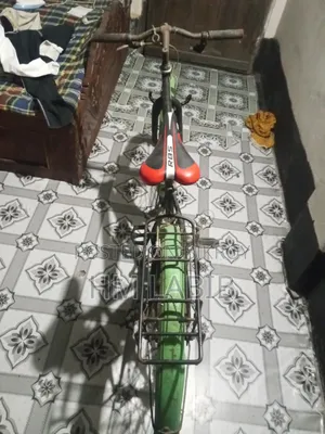 Old Bicycle