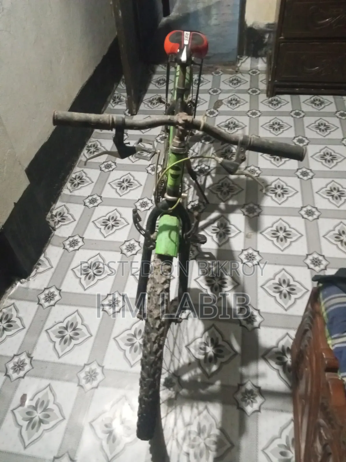 Old Bicycle