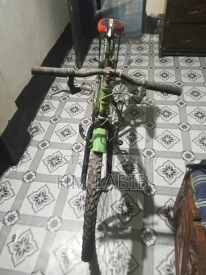 Old Bicycle