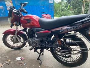 Bajaj Platina 100 2008 Red
