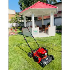 Ducar DM41S 18" Self Propelled Petrol Lawn Mower