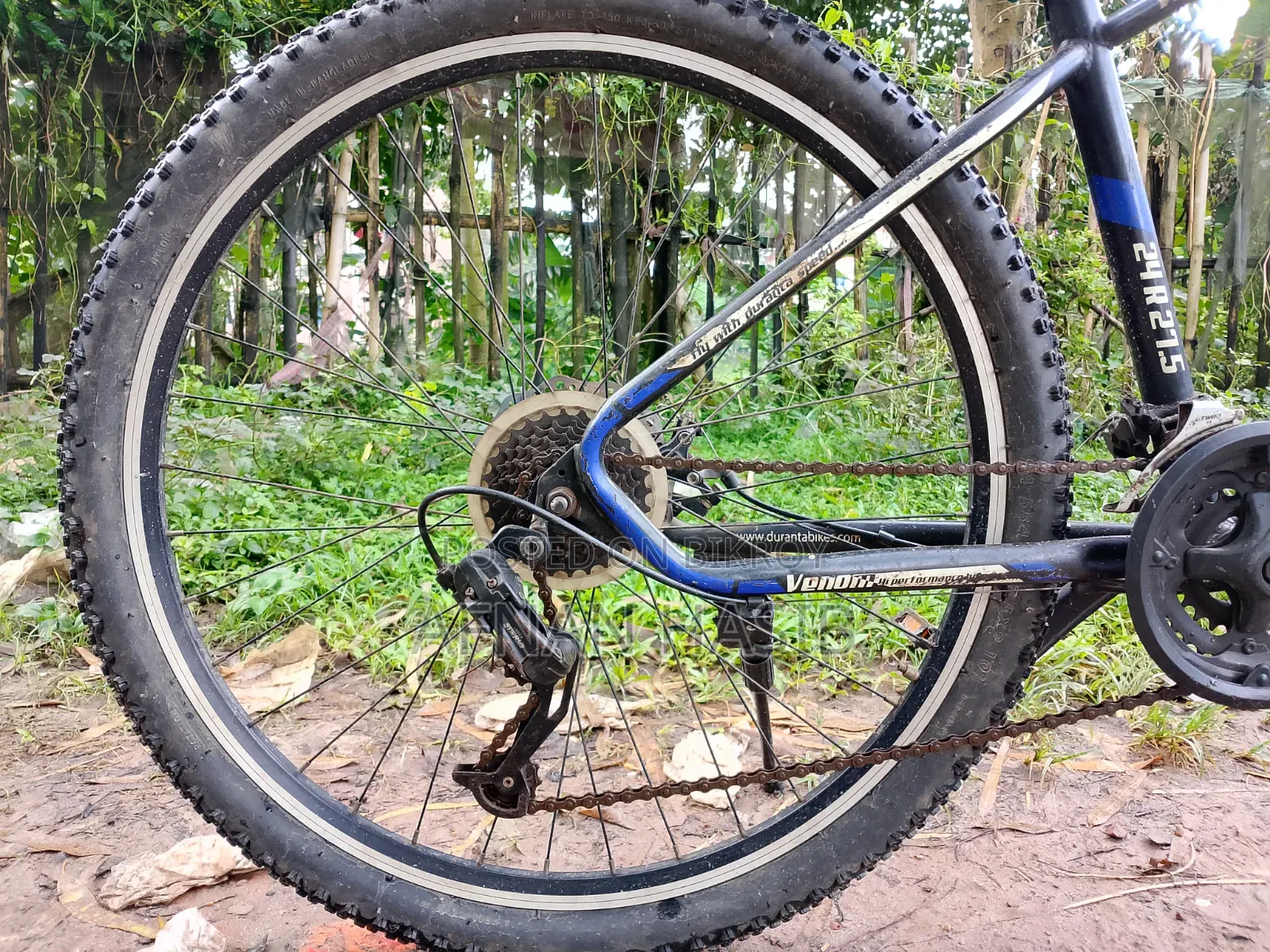 Used Duranta cycle in fresh condition for sale!