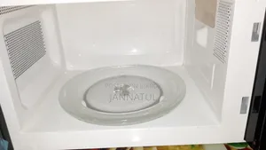 Micro Oven