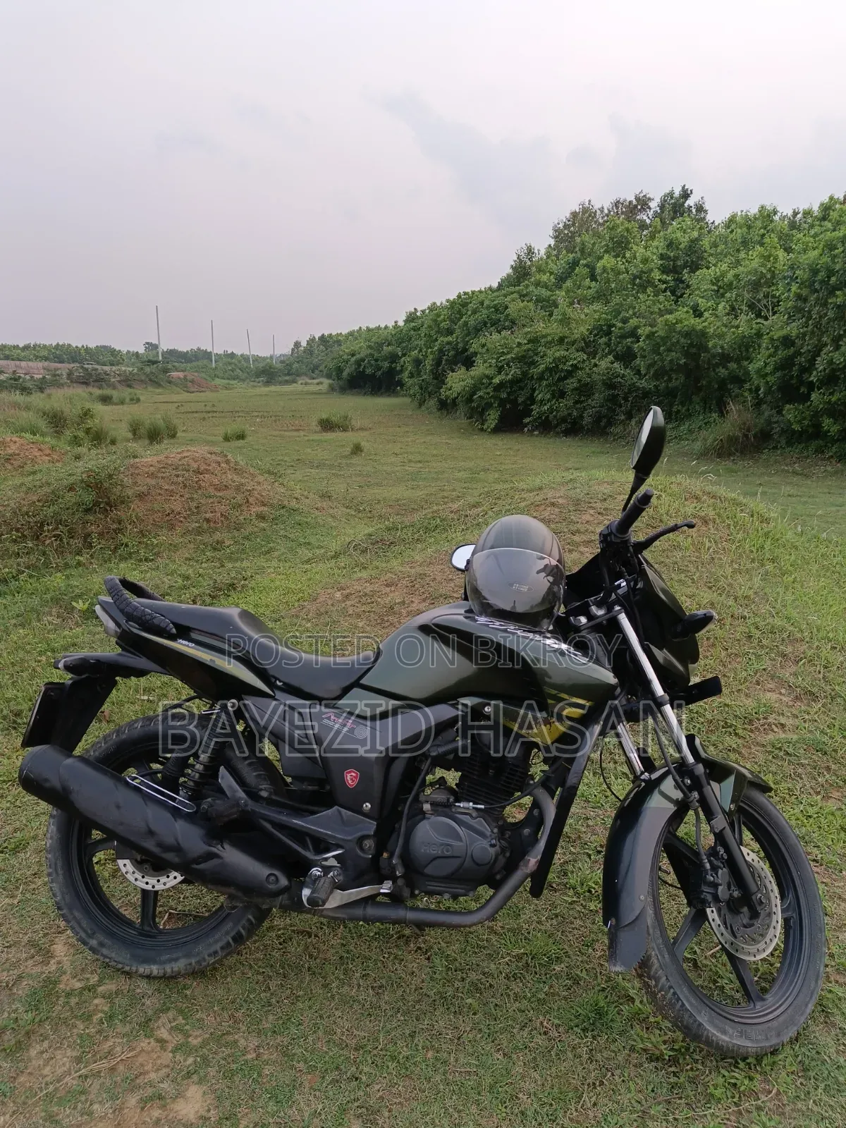 হিরো হাংক ২০১৮ সবুজ