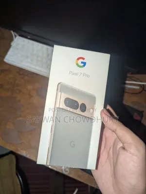 Google Pixel 7 Pro 128 GB Gray