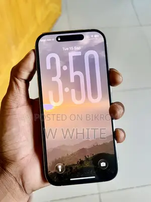 Apple iPhone 16 Pro 256 GB Silver