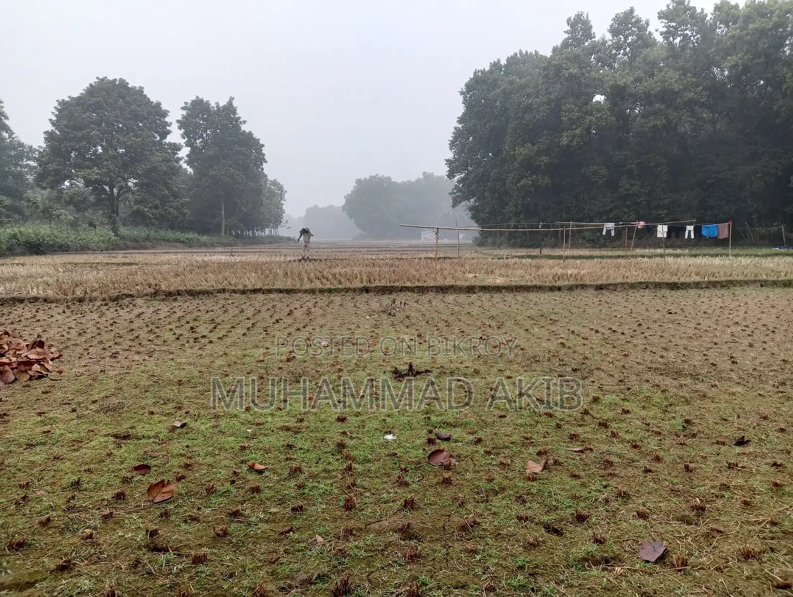 গাজীপুর, শিমূলতলী, চতরবাজার প্রতি কাঠা ২,০০,০০০ টাকা (মোট ৮ কাঠা)