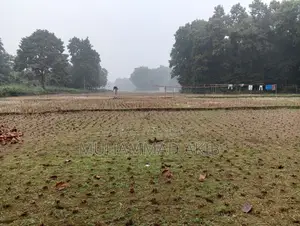 গাজীপুর, শিমূলতলী, চতরবাজার প্রতি কাঠা ২,০০,০০০ টাকা (মোট ৮ কাঠা)