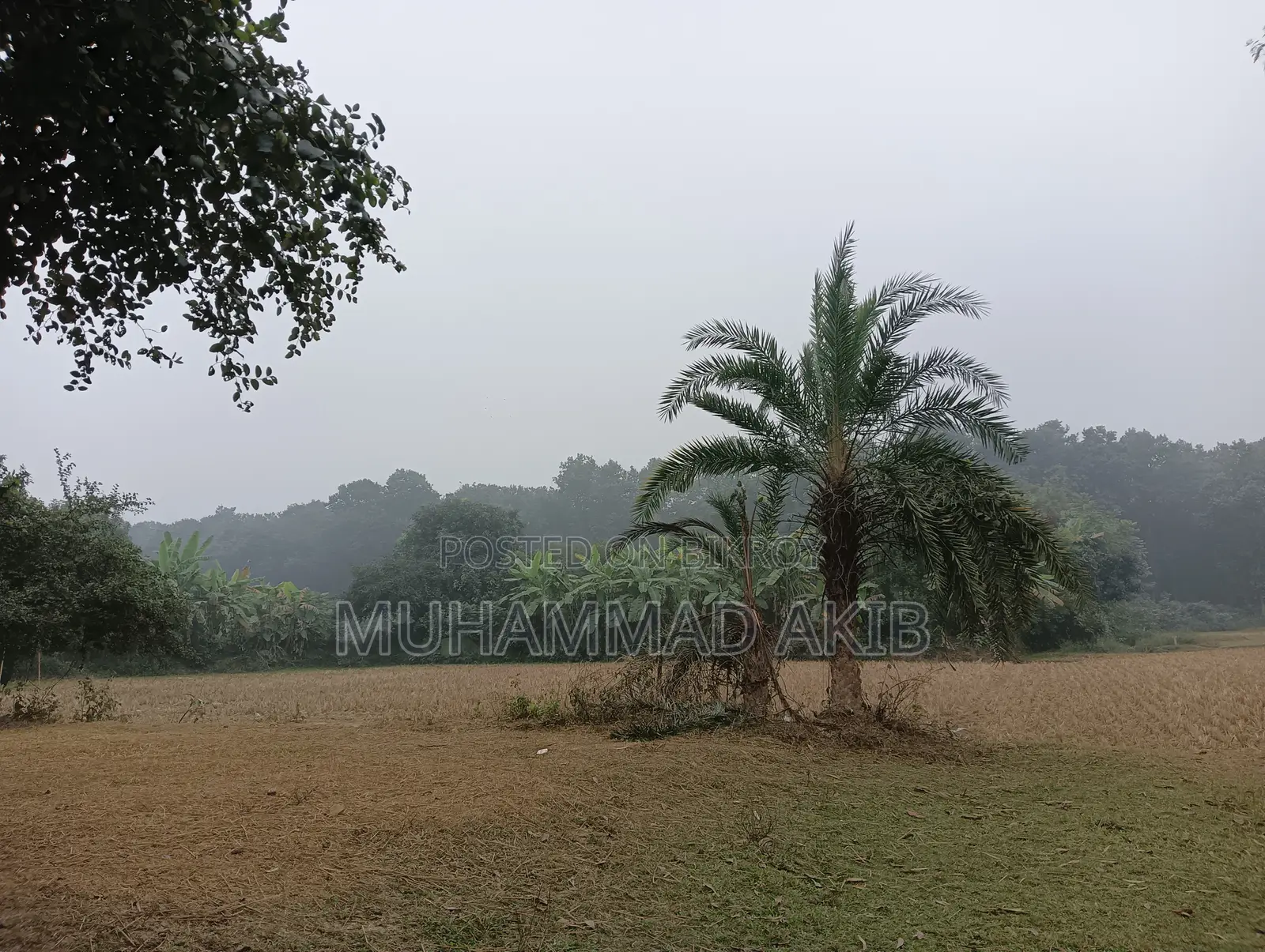 গাজীপুর, শিমূলতলী, চতরবাজার প্রতি কাঠা ২,০০,০০০ টাকা (মোট ৮ কাঠা)