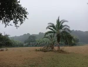 গাজীপুর, শিমূলতলী, চতরবাজার প্রতি কাঠা ২,০০,০০০ টাকা (মোট ৮ কাঠা)