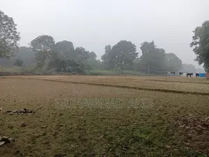 গাজীপুর, শিমূলতলী, চতরবাজার প্রতি কাঠা ২,০০,০০০ টাকা (মোট ৮ কাঠা)