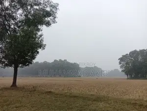 গাজীপুর, শিমূলতলী, চতরবাজার প্রতি কাঠা ২,০০,০০০ টাকা (মোট ৮ কাঠা)