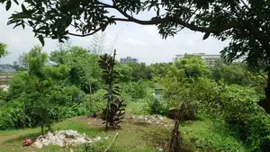150000 Sqft. Developed Land Space for Ready Factory at Birulia