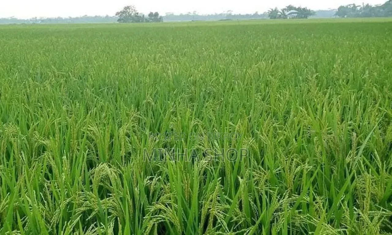 ৩৯ শতক আবাদি জমি বিক্রি হবে।