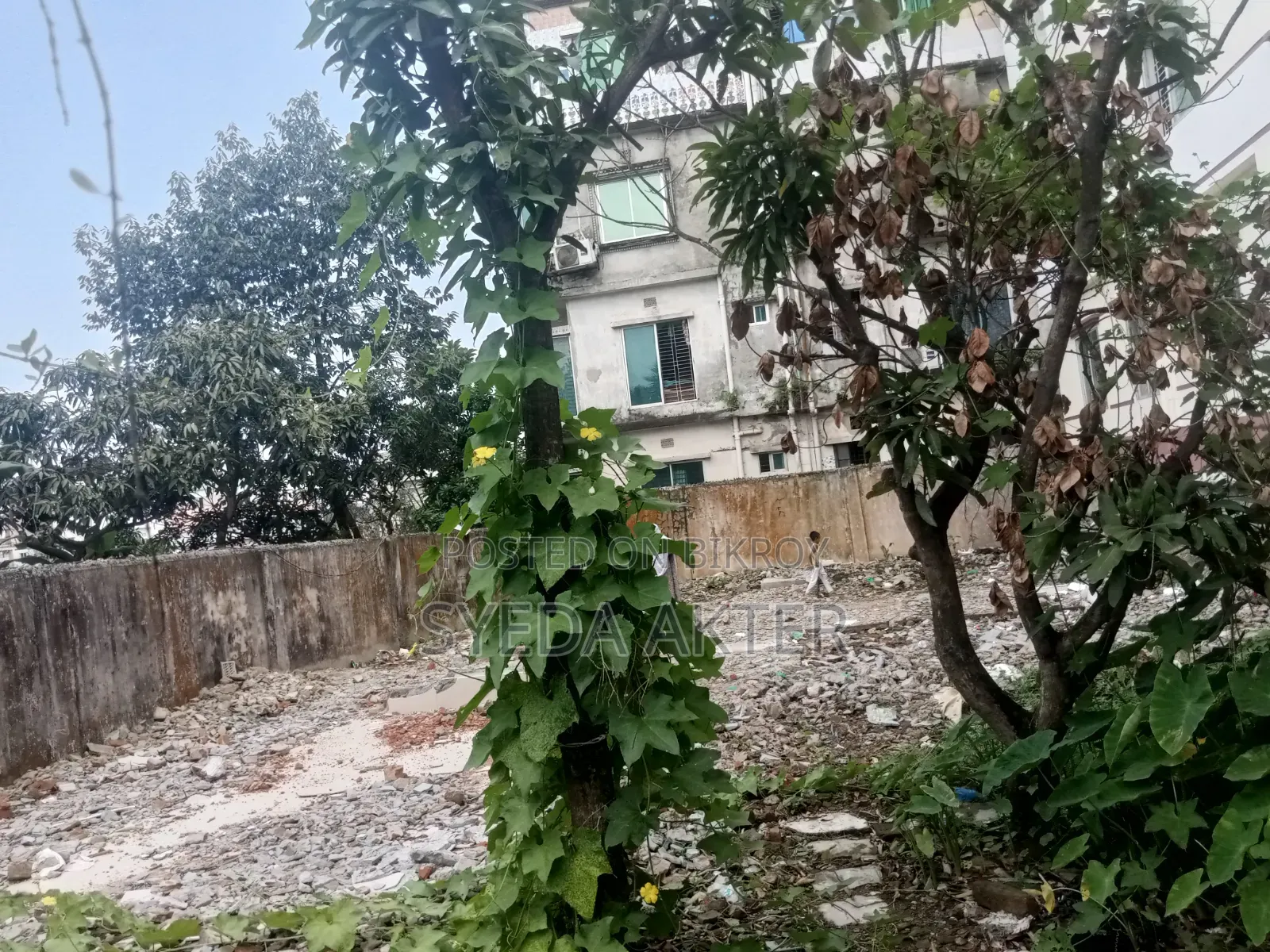 ৬ শতক জমি বিক্রয়