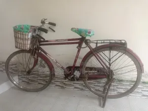 দুরন্ত সাইকেল