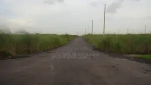 ৩ কাটা (দক্ষিণ) উত্তরা, সেক্টর # ১৭/এইচ