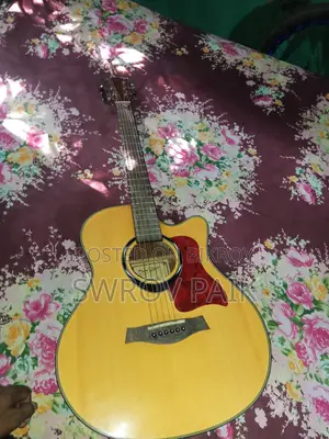 Deviser L-720a Acoustic Guitar