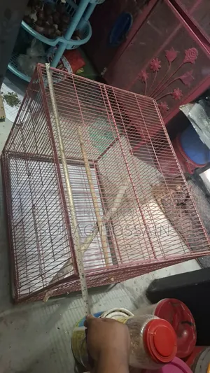 Cage for sale
