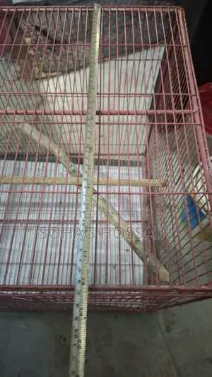 Cage for sale