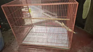 Cage for sale