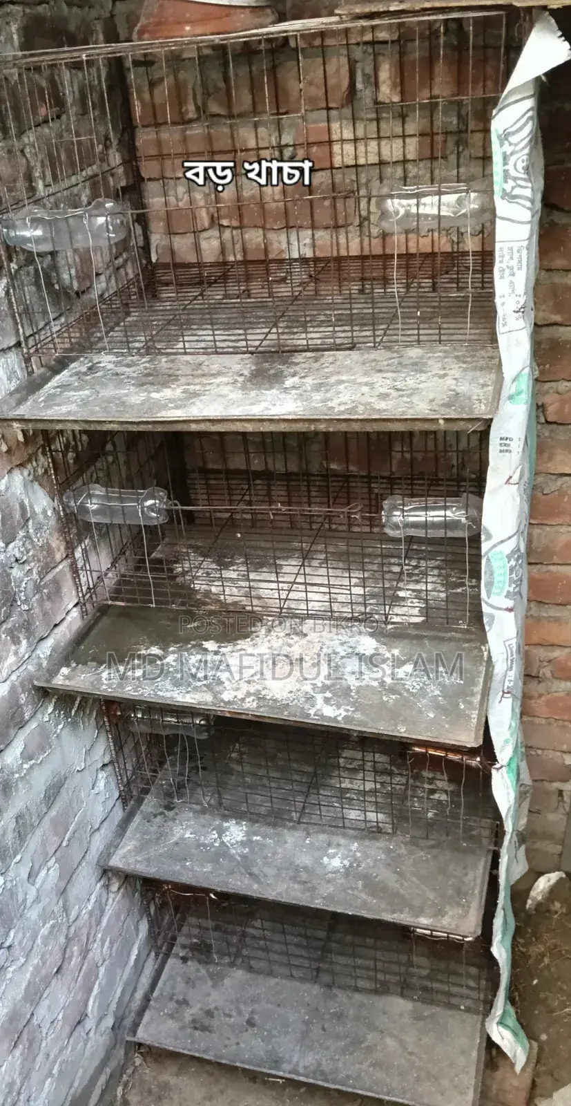 Bird cage