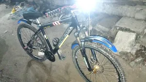 ফিনিক্স সাইকেল
