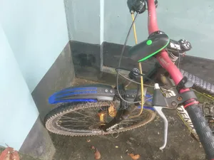 ফিনিক্স সাইকেল