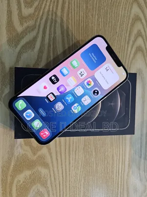 Apple iPhone 12 Pro Max 128 GB Gold