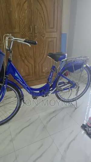 লেডিস বাই-সাইকেল বিক্রি করতে চাই (Ladies Bicycle Sell)