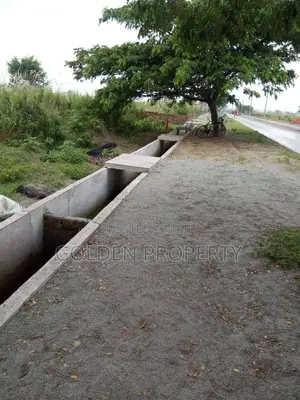 Photo - 7.50 Katha M Block Plot Sale in Bashundhara