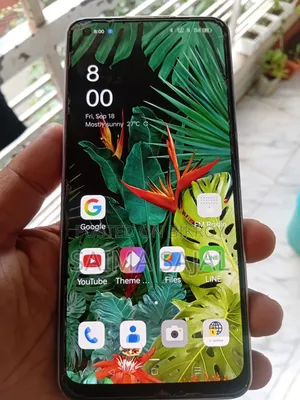 অপো ৮ জিবি ব্লু