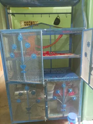 A steel food rack will be sold