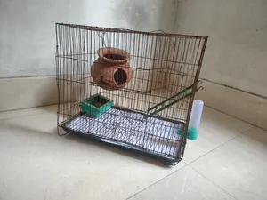 পাখির খাচা বিক্রিয় করা হবে
