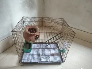 পাখির খাচা বিক্রিয় করা হবে