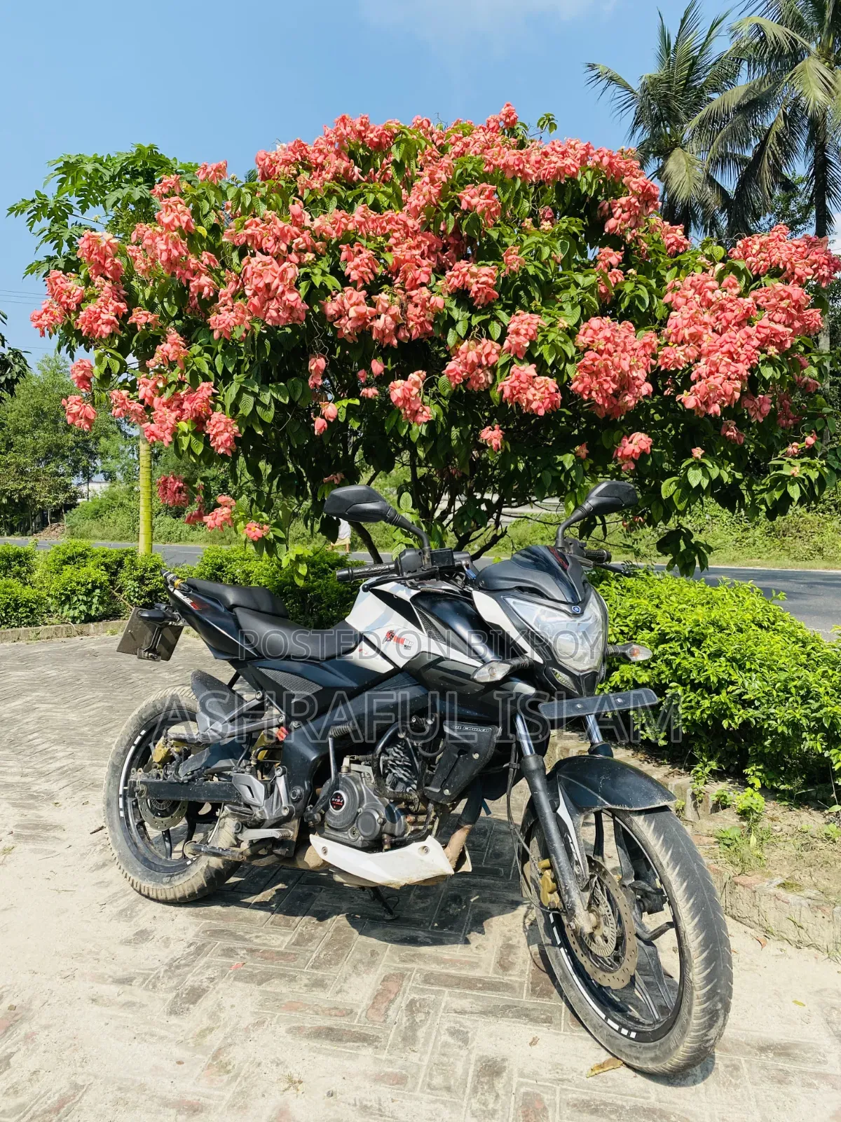 Bajaj Pulsar NS 160 2019 White