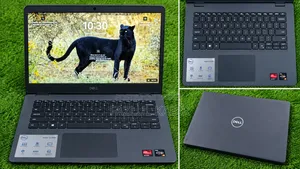 Laptop Dell Vostro 14 3000 8GB AMD Ryzen 3 HDD+SSD 1T