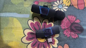 Wireless Microphone and Audio Microphone