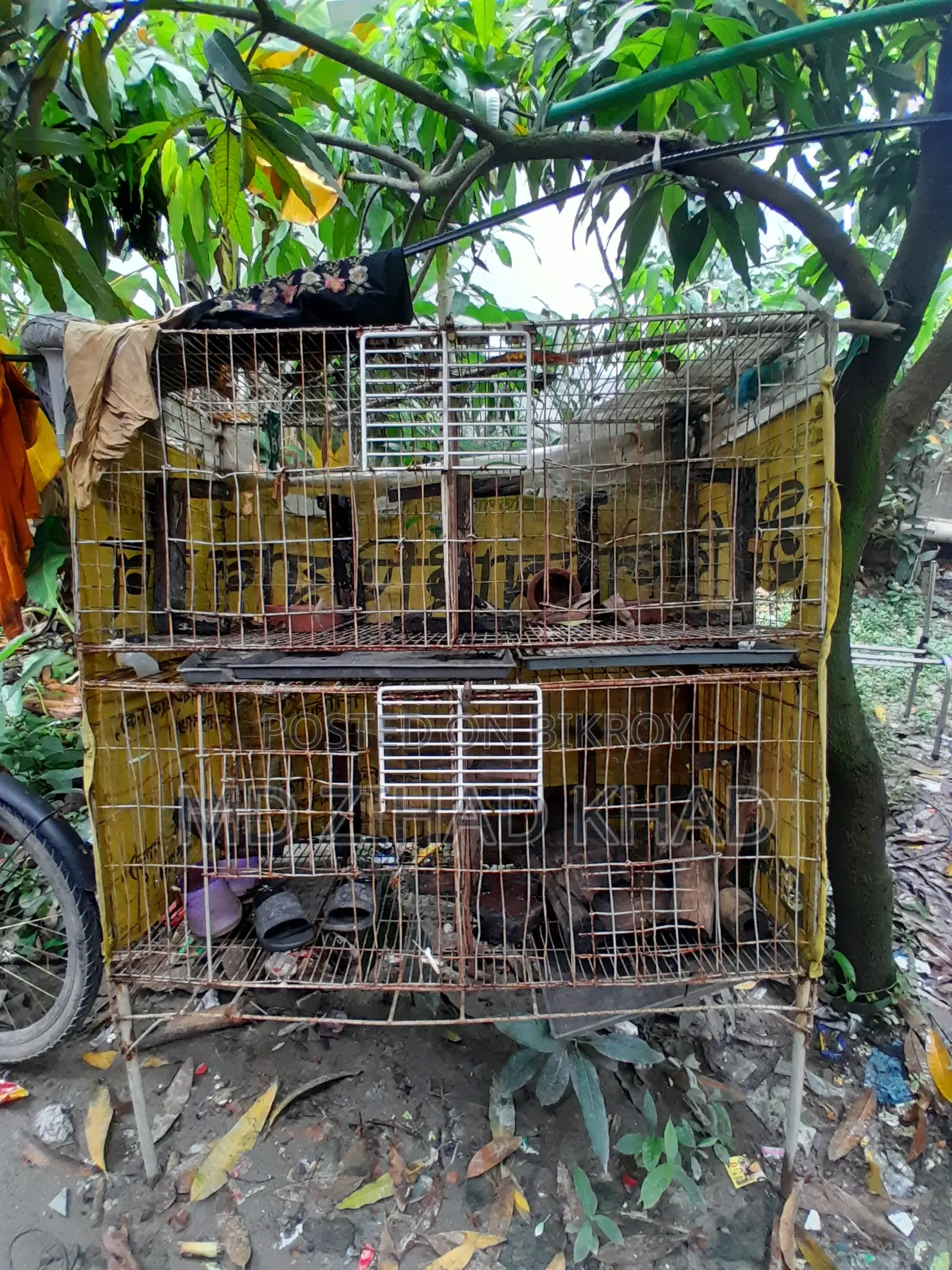 কবুতরের ধাপরি চার খোপের