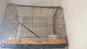 2 Cages..