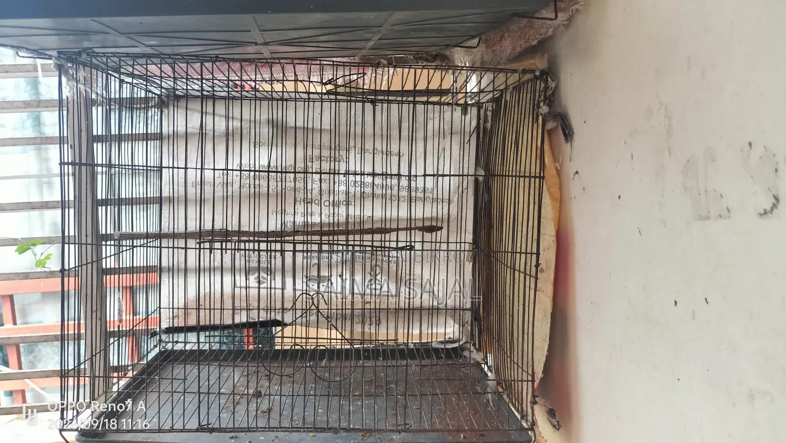 2 Cages..