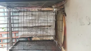 2 Cages..