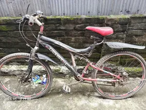 Used Cycle
