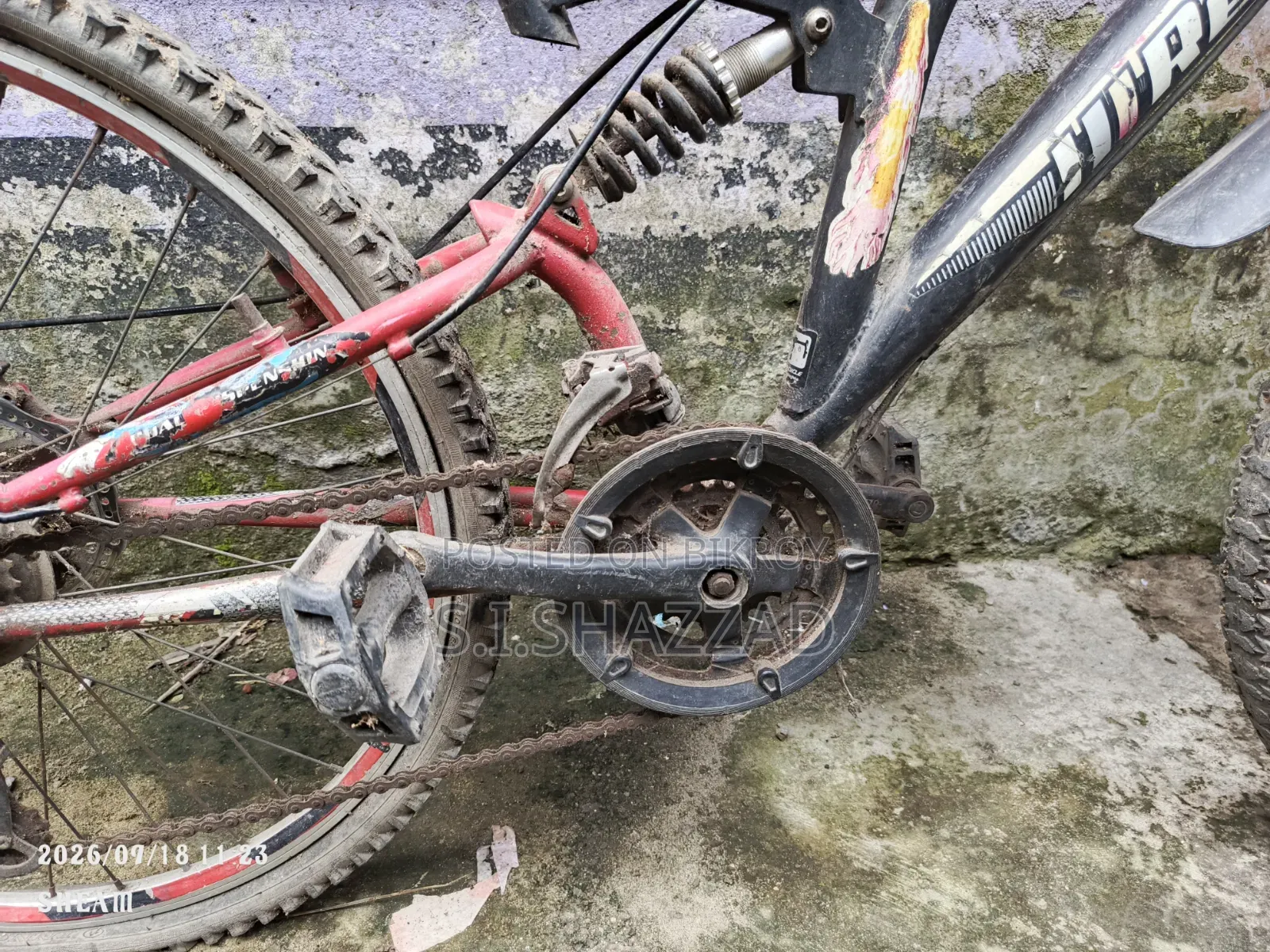 Used Cycle