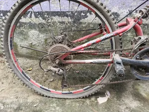 Used Cycle