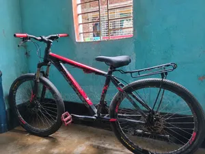 Bicycle in Perfectly Good Condition