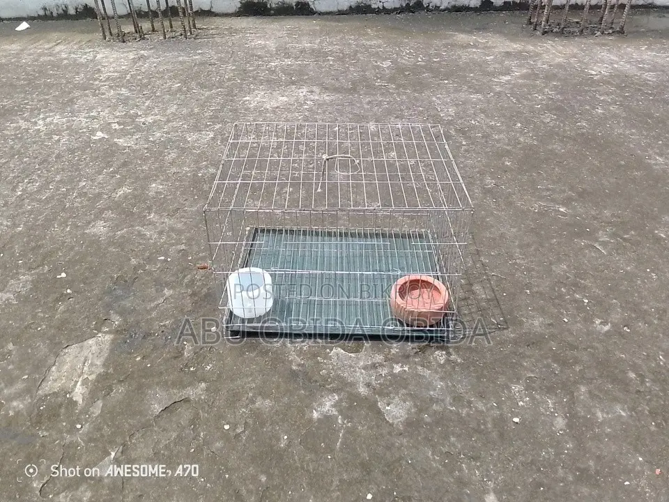 Bird Cage