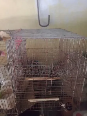 নতুন, পুরাতন পাখির খাঁচা ও অ্যাকুরিয়াম